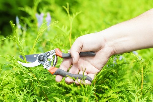 Low-emission van collecting garden waste on residential street